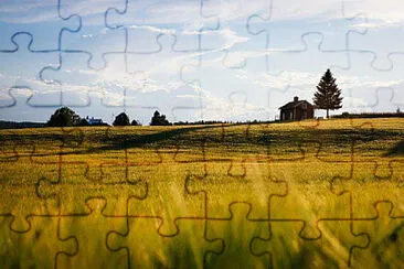 Toy jigsaw puzzle