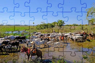 Toy jigsaw puzzle