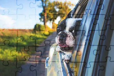 Toy jigsaw puzzle