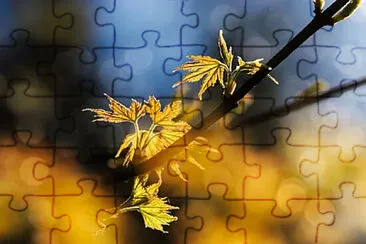 Toy jigsaw puzzle