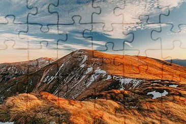 Toy jigsaw puzzle