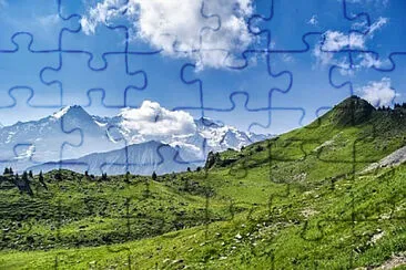 Toy jigsaw puzzle