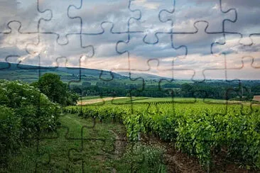 Toy jigsaw puzzle