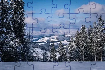 Toy jigsaw puzzle