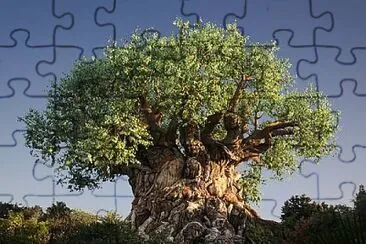 L 'ALBERO della VITA