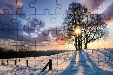 Toy jigsaw puzzle