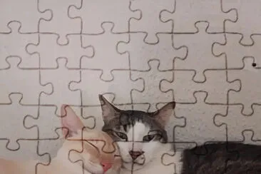 Amor jigsaw puzzle