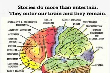 Anatomy of Brain