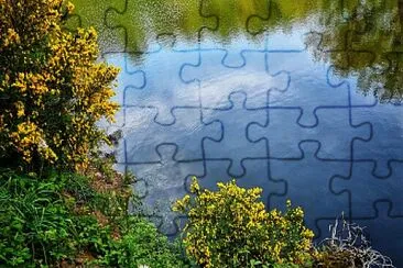 Etang jigsaw puzzle