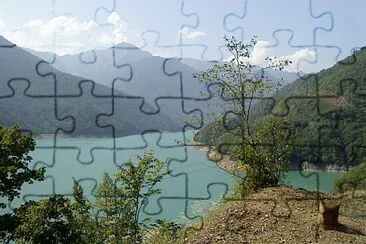 svani jigsaw puzzle