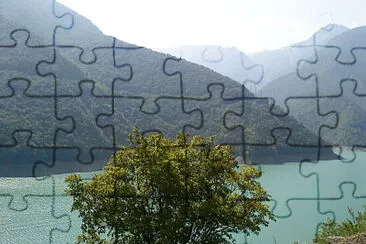 svani jigsaw puzzle