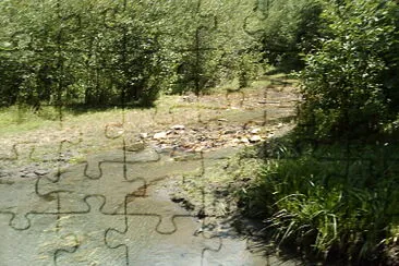 svani jigsaw puzzle