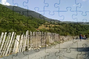 svani jigsaw puzzle