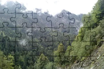 svani jigsaw puzzle