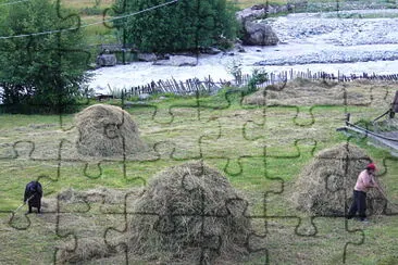 svani jigsaw puzzle