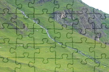 svani jigsaw puzzle