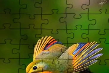 oiseau jigsaw puzzle