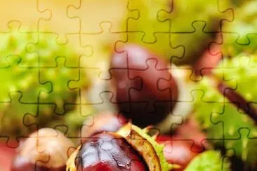 Prova do Ciclo jigsaw puzzle