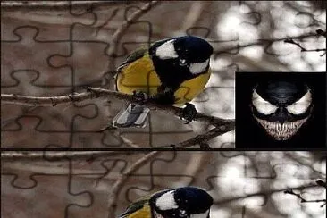 meme do venom com o bem-te-vi