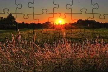 Eu jigsaw puzzle