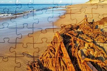 plage jigsaw puzzle