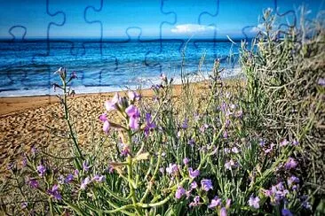 Plage jigsaw puzzle