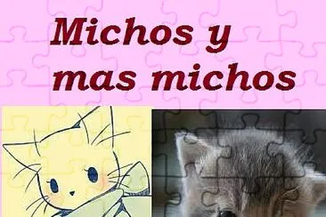 Michos y mas michos