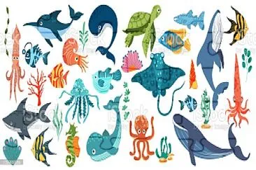 sea animals