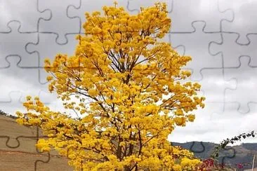 imagem jigsaw puzzle