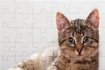 Lil Grey Tabby jigsaw puzzle