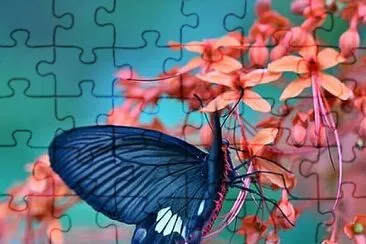 papillon fleur jigsaw puzzle