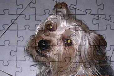 Pupi jigsaw puzzle