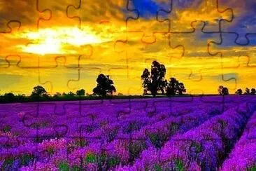 imagem jigsaw puzzle