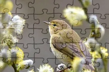 imagem jigsaw puzzle