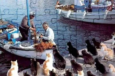 Cats and fishermen jigsaw puzzle