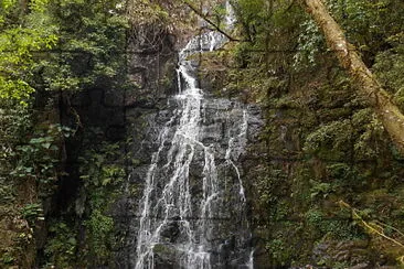 פאזל של Cachoeira