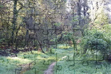 i passaggi nel bosco jigsaw puzzle