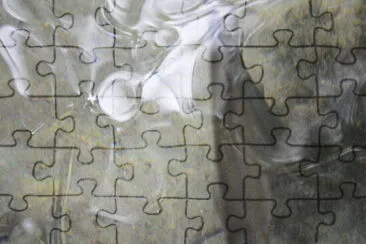 i pesci jigsaw puzzle