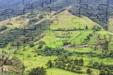 Valle del Cocora Q. Colombia