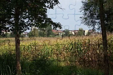 il campo e le case jigsaw puzzle