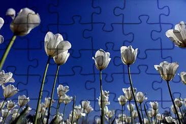 OK jigsaw puzzle