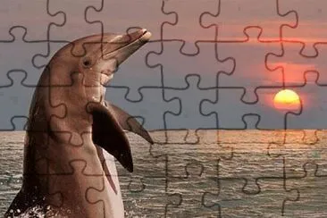 imagem jigsaw puzzle