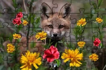 Renard et fleurs