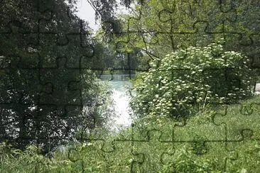 il fiume tra gli alberi jigsaw puzzle