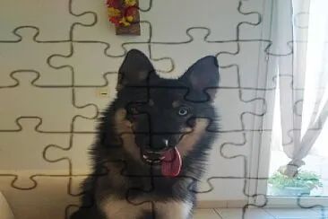  jigsaw puzzle