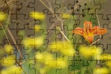 Toy jigsaw puzzle