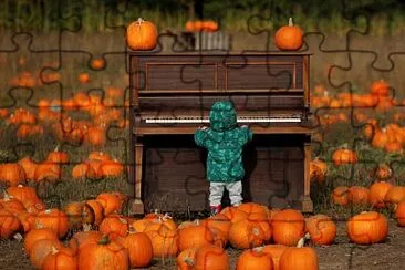 Pianist in pumpkin patch