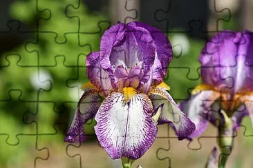 OK jigsaw puzzle