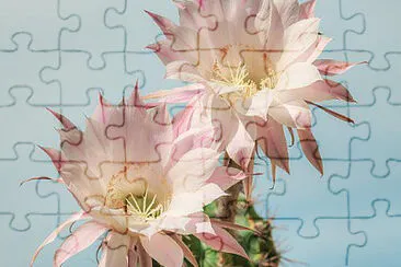 OK jigsaw puzzle