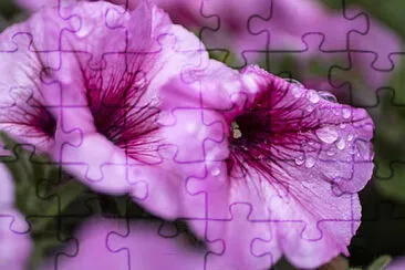 OK jigsaw puzzle